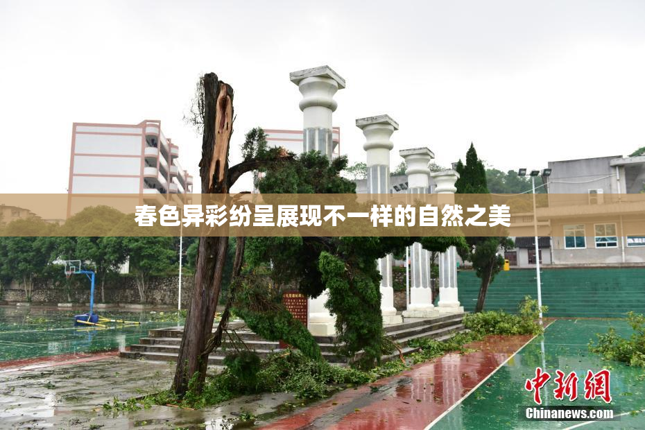 春色异彩纷呈展现不一样的自然之美