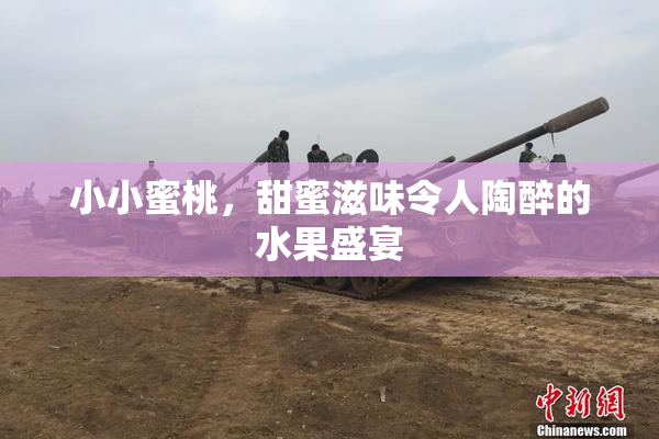小小蜜桃，甜蜜滋味令人陶醉的水果盛宴