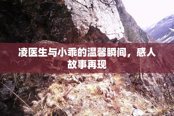 凌医生与小乖的温馨瞬间，感人故事再现
