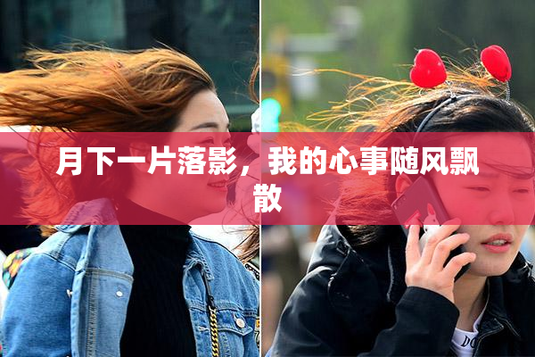 月下一片落影，我的心事随风飘散