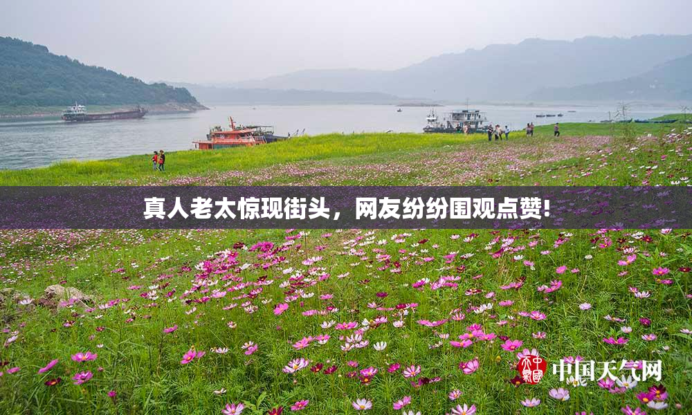 真人老太惊现街头，网友纷纷围观点赞!