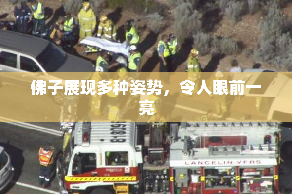 佛子展现多种姿势，令人眼前一亮