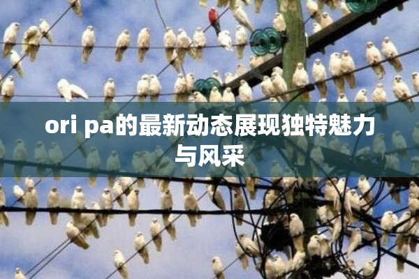 ori pa的最新动态展现独特魅力与风采