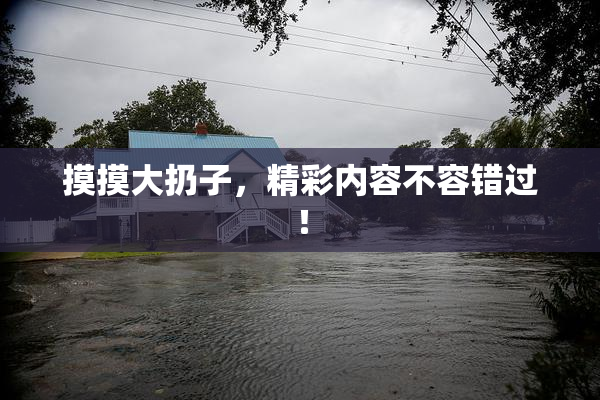 摸摸大扔子，精彩内容不容错过！