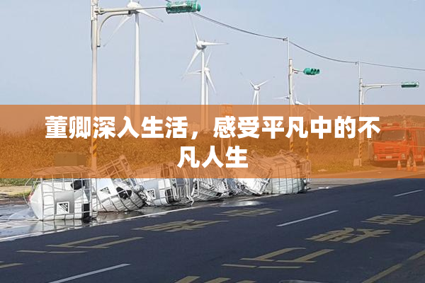 董卿深入生活，感受平凡中的不凡人生