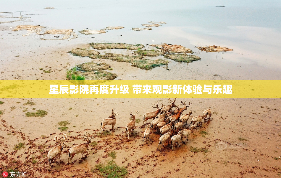 星辰影院再度升级 带来观影新体验与乐趣