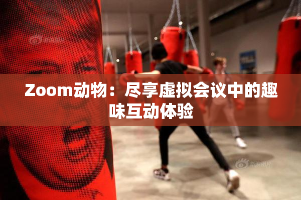Zoom动物：尽享虚拟会议中的趣味互动体验