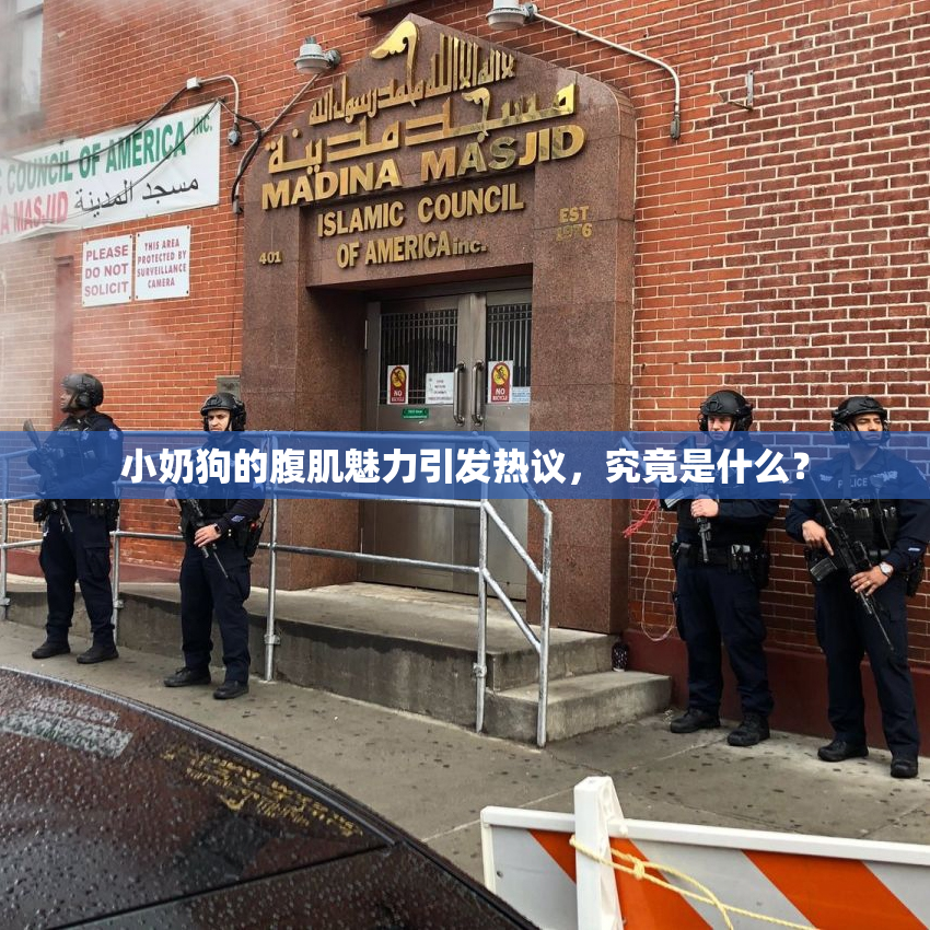 小奶狗的腹肌魅力引发热议，究竟是什么？