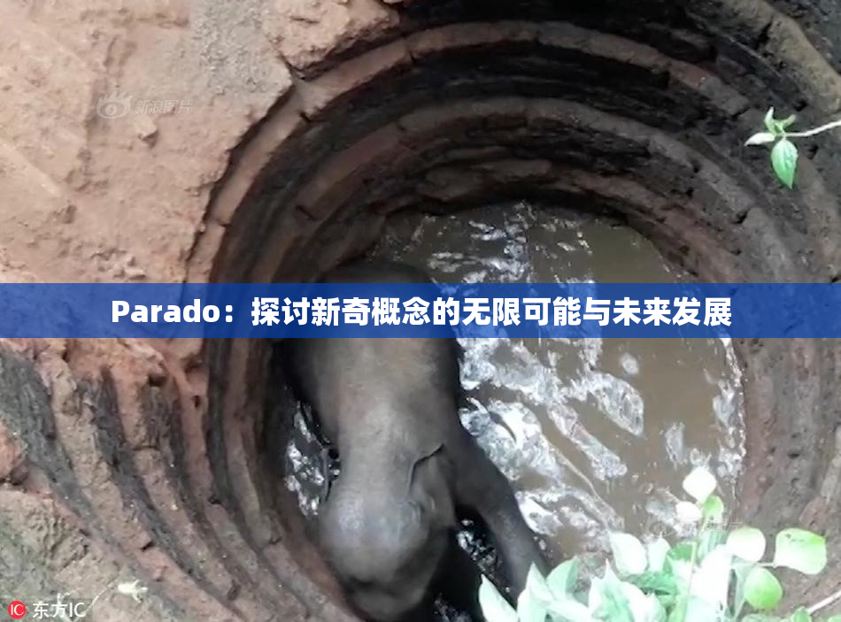Parado：探讨新奇概念的无限可能与未来发展