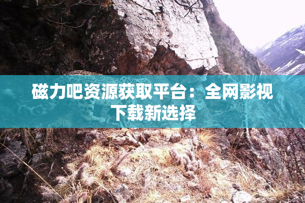 磁力吧资源获取平台：全网影视下载新选择