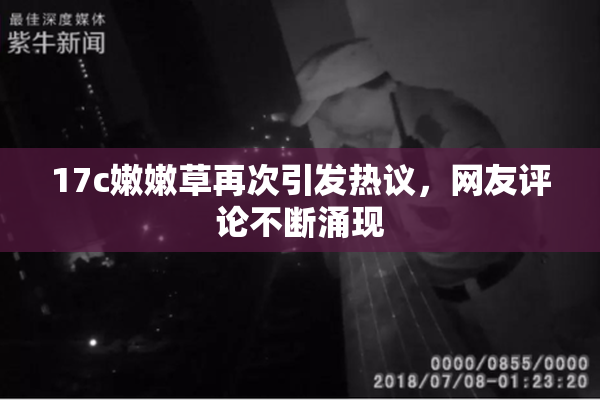 17c嫩嫩草再次引发热议，网友评论不断涌现