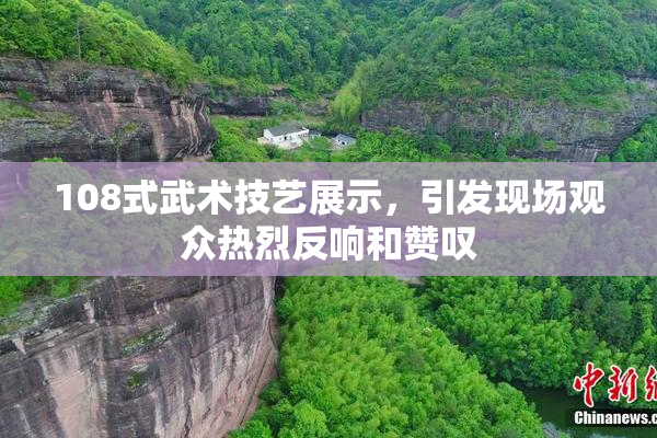 108式武术技艺展示，引发现场观众热烈反响和赞叹