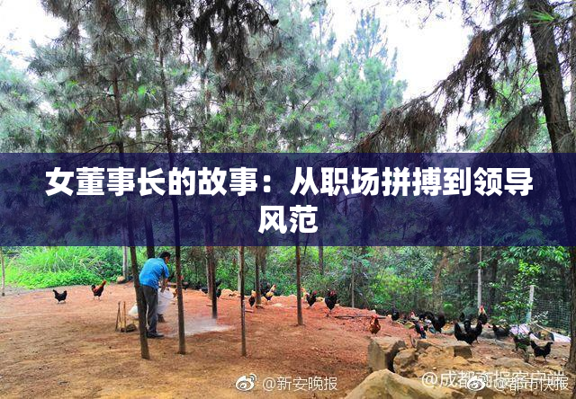 女董事长的故事：从职场拼搏到领导风范