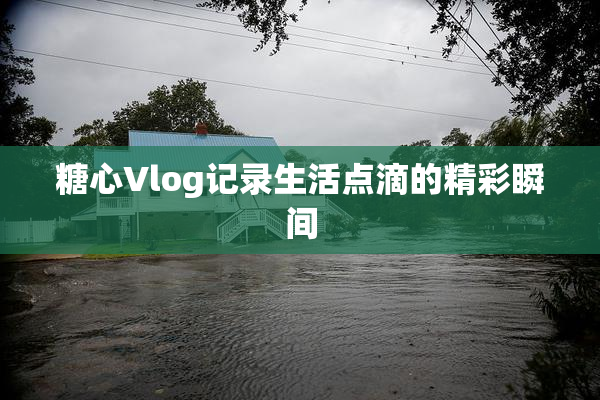 糖心Vlog记录生活点滴的精彩瞬间