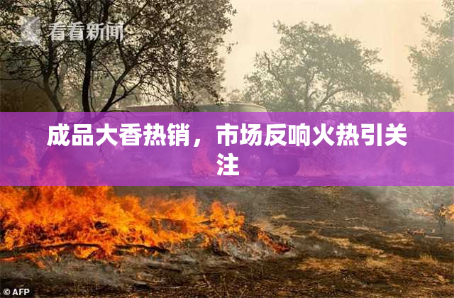 成品大香热销，市场反响火热引关注