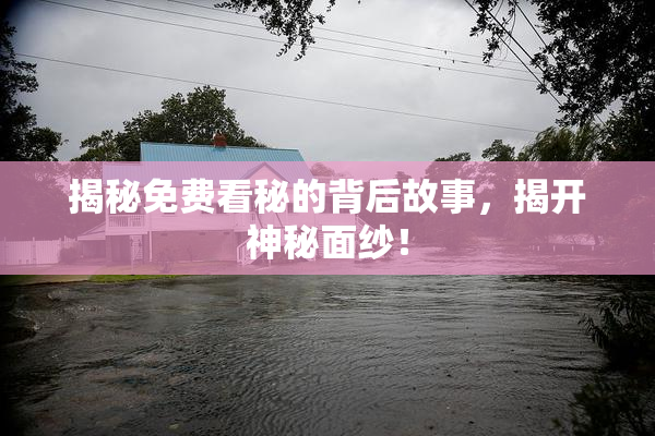 揭秘免费看秘的背后故事，揭开神秘面纱！