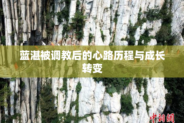 蓝湛被调教后的心路历程与成长转变