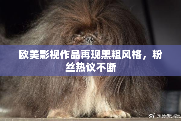欧美影视作品再现黑粗风格，粉丝热议不断
