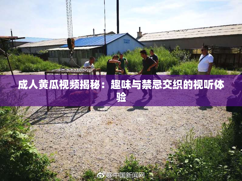 成人黄瓜视频揭秘：趣味与禁忌交织的视听体验
