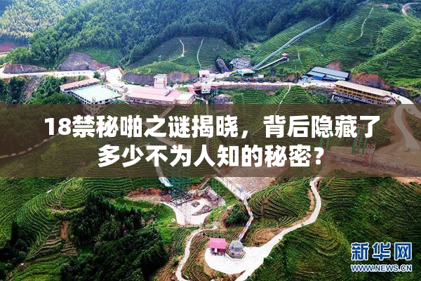 18禁秘啪之谜揭晓，背后隐藏了多少不为人知的秘密？