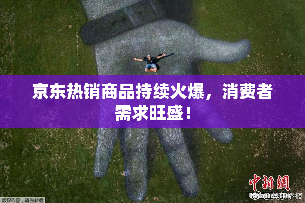 京东热销商品持续火爆，消费者需求旺盛！