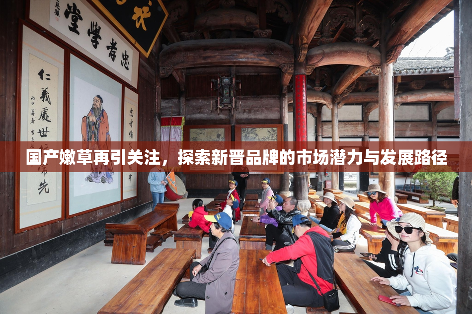 国产嫩草再引关注，探索新晋品牌的市场潜力与发展路径