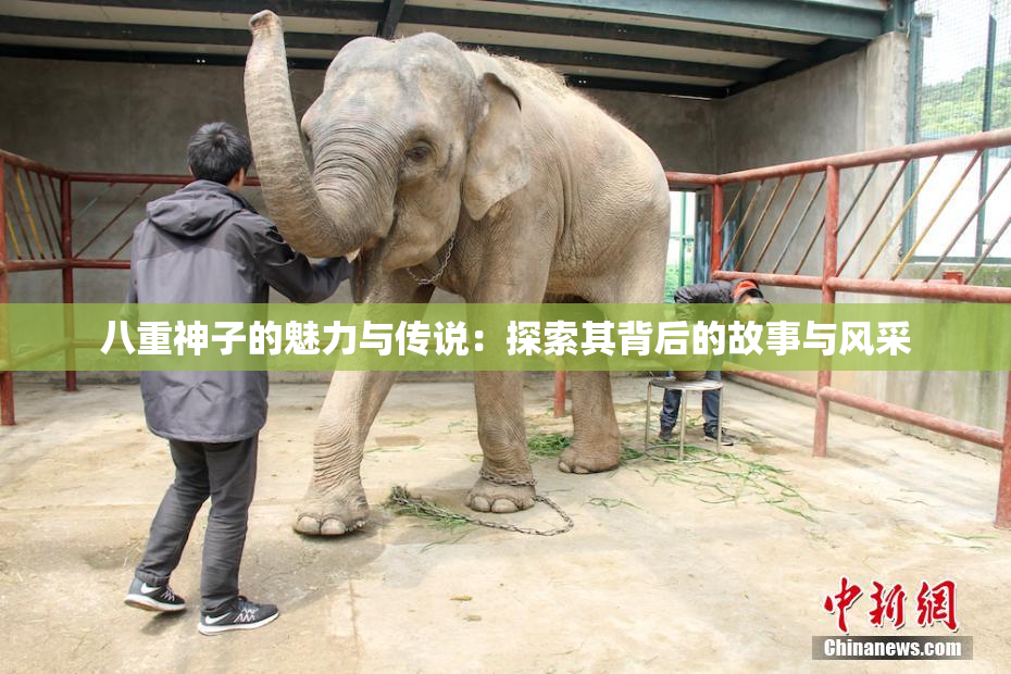 八重神子的魅力与传说：探索其背后的故事与风采