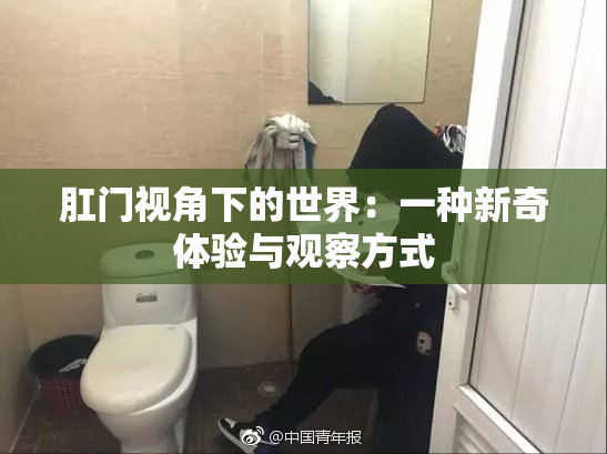 肛门视角下的世界：一种新奇体验与观察方式