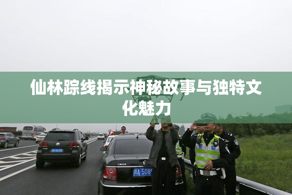 仙林踪线揭示神秘故事与独特文化魅力
