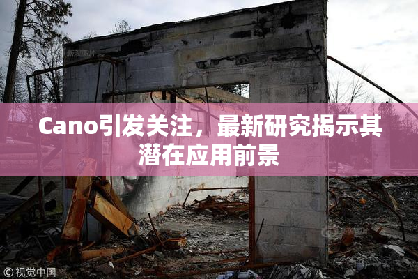 Cano引发关注，最新研究揭示其潜在应用前景