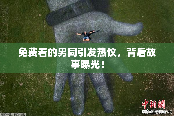 免费看的男同引发热议，背后故事曝光！