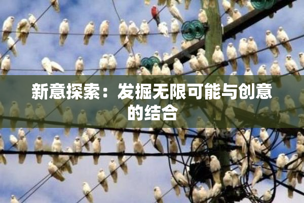 新意探索：发掘无限可能与创意的结合