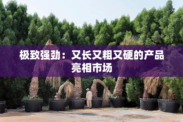 极致强劲：又长又粗又硬的产品亮相市场