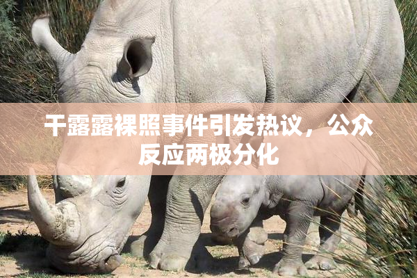干露露裸照事件引发热议，公众反应两极分化