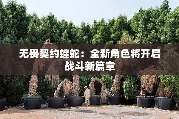 无畏契约蝰蛇：全新角色将开启战斗新篇章