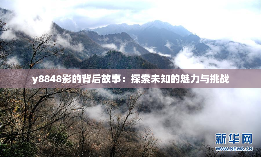 y8848影的背后故事：探索未知的魅力与挑战