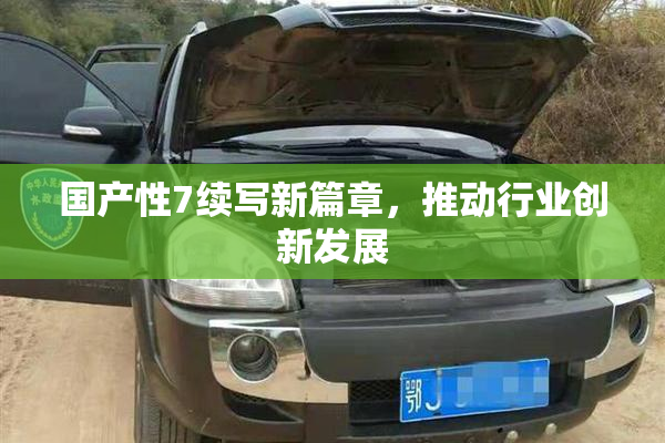 国产性7续写新篇章，推动行业创新发展