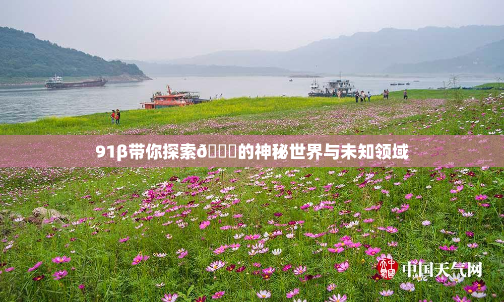 91β带你探索🔞的神秘世界与未知领域
