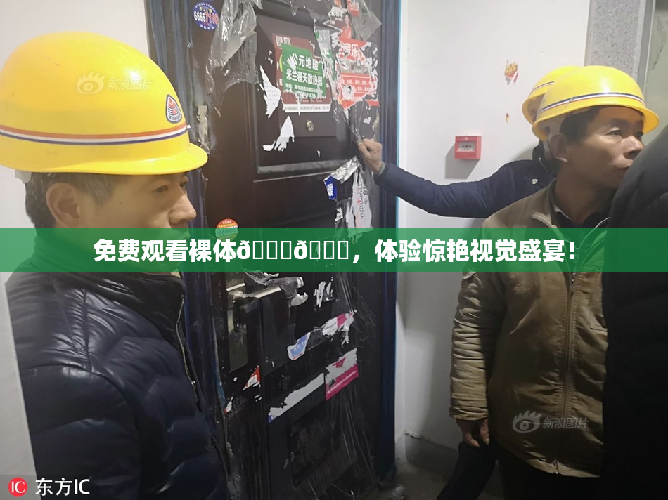 免费观看裸体🔞🔞，体验惊艳视觉盛宴！