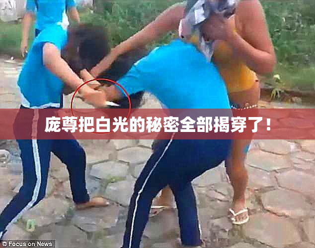 庞尊把白光的秘密全部揭穿了！