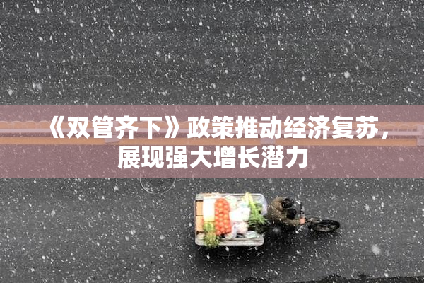 《双管齐下》政策推动经济复苏，展现强大增长潜力