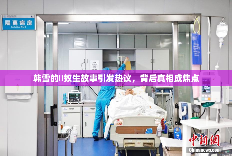 韩雪的婬奴生故事引发热议，背后真相成焦点