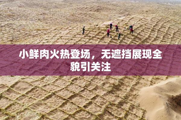 小鲜肉火热登场，无遮挡展现全貌引关注