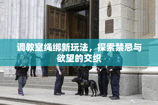 调教室绳绑新玩法，探索禁忌与欲望的交织