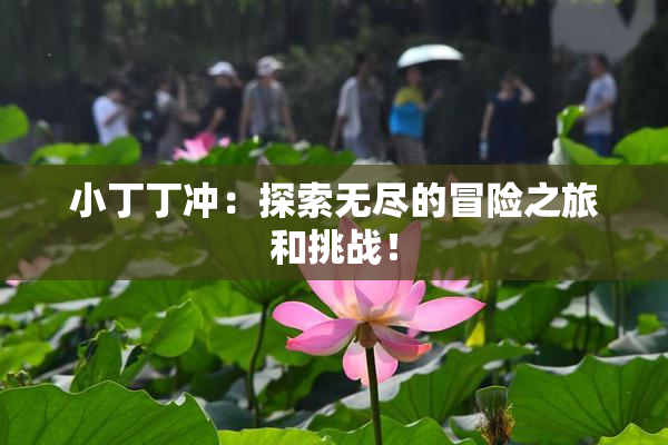 小丁丁冲：探索无尽的冒险之旅和挑战！