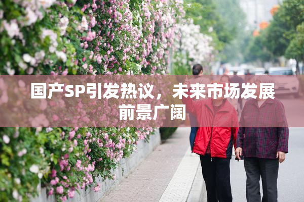 国产SP引发热议，未来市场发展前景广阔