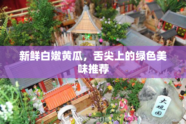 新鲜白嫩黄瓜，舌尖上的绿色美味推荐