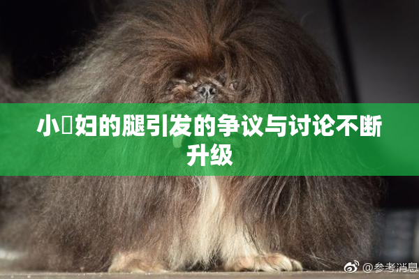 小婬妇的腿引发的争议与讨论不断升级