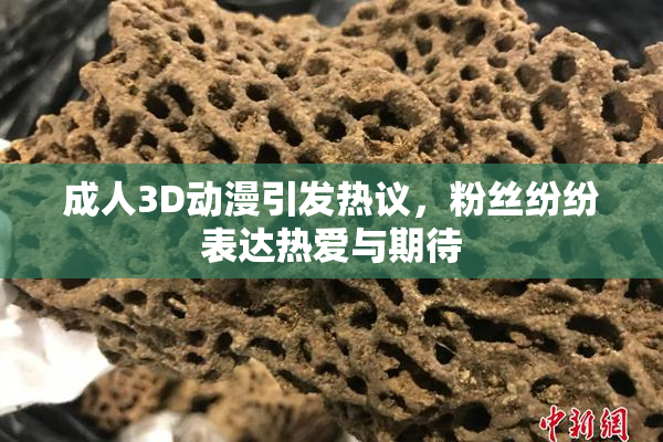 成人3D动漫引发热议，粉丝纷纷表达热爱与期待