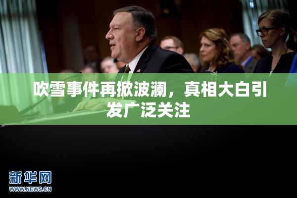 吹雪事件再掀波澜，真相大白引发广泛关注